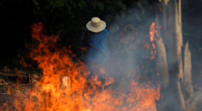 El Amazonas no es el pulmón del planeta: Ministro de medio ambiente