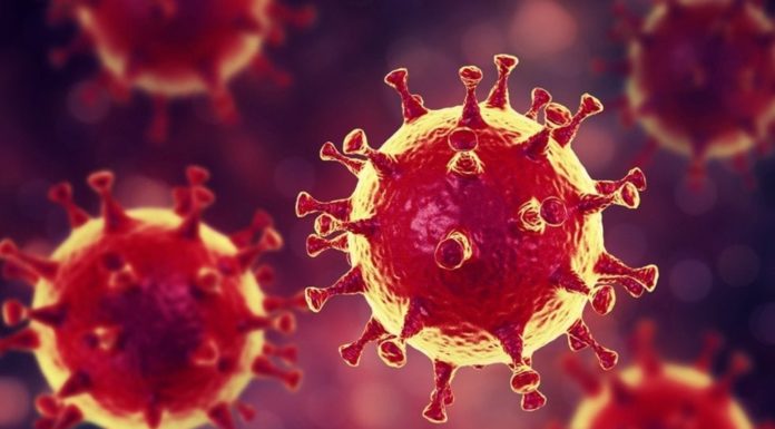 Profesor que viajó a China, posible portador de coronavirus en Tamaulipas