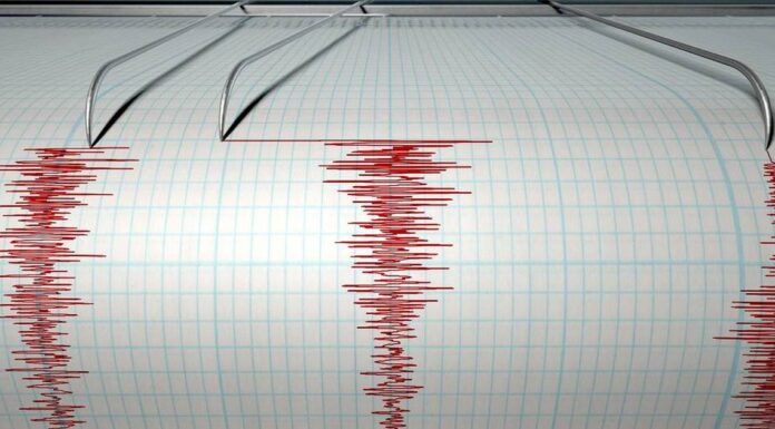 La noche del martes se registró un sismo de 5.0 grados en Guerrero.
