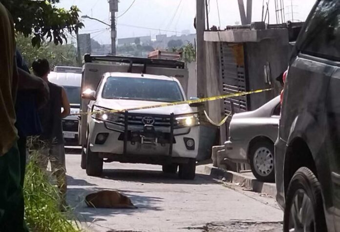 Asesinan a mujer dentro de su tienda en el municipio de Monterrey.