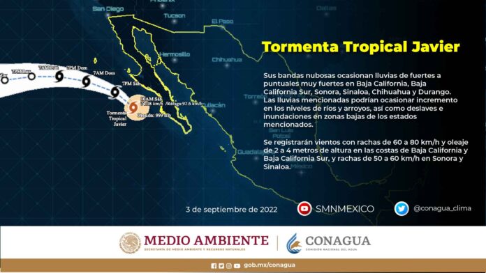 Infografía general del desarrollo de la tormenta tropical Javier.