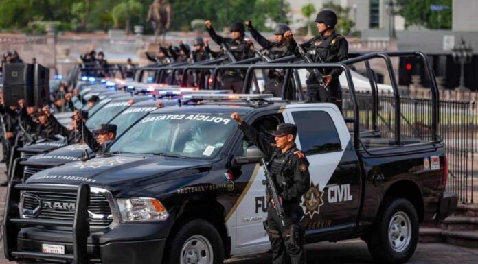 Actualmente la secretaría de Seguridad Pública de Nuevo León cuenta con más de 6 mil elementos de los cuales al menos cuatro mil quinientos pertenecen a Fuerza Civil.