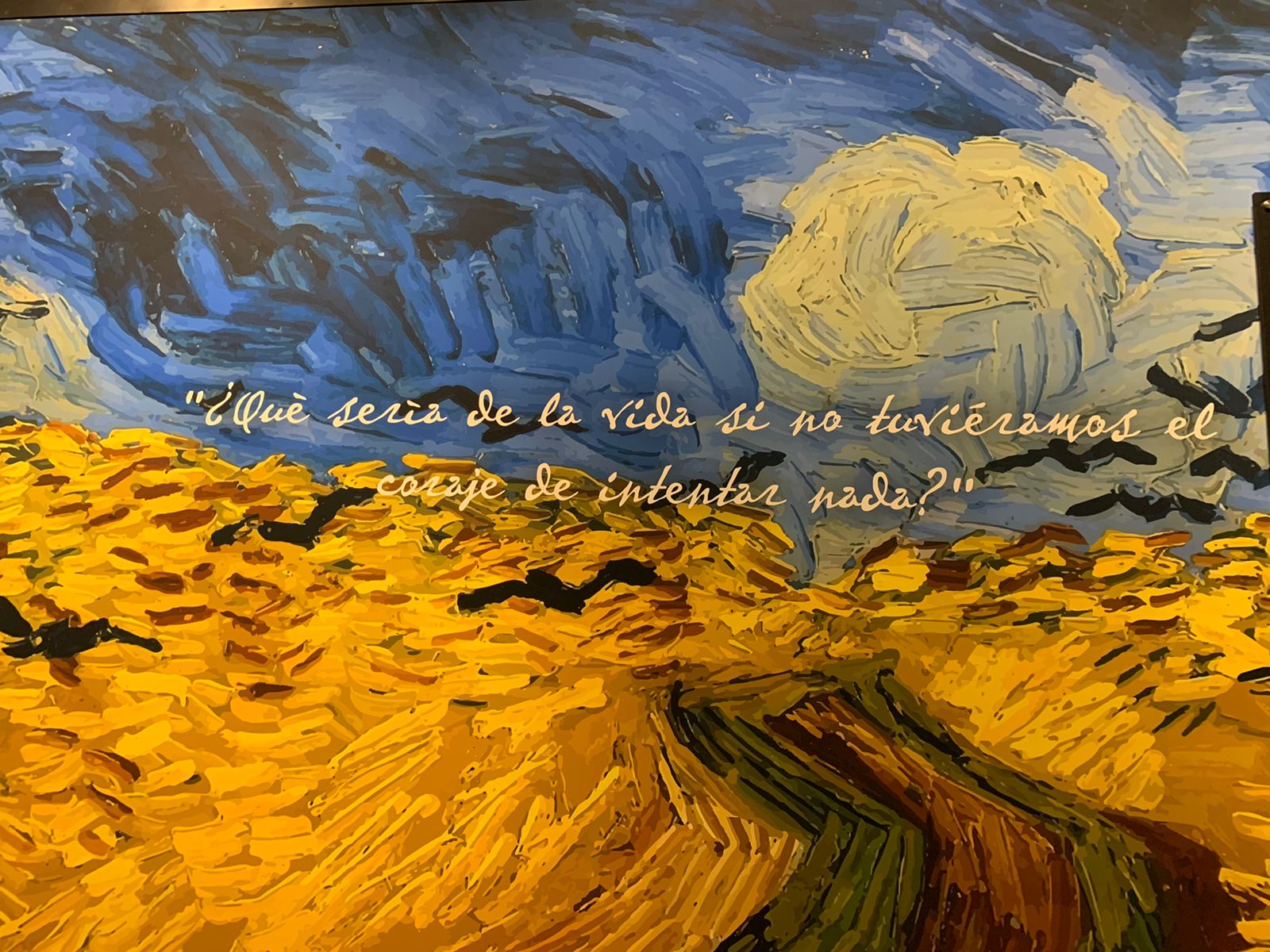 Immersive Van Gogh Exhibit Monterrey 