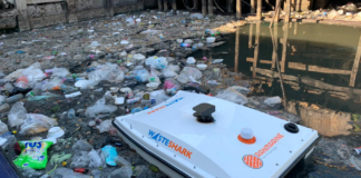 Tiburón de Basura