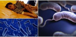 Virus del cólera afecta a la población Siria y Libanesa.