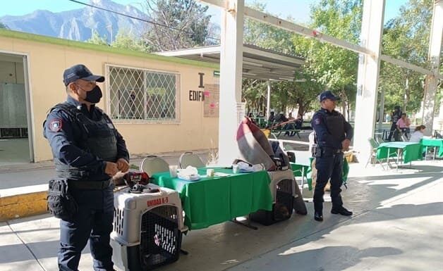 Alumnos de un Conalep en Guadalupe fueron detenidos tras ser encontrados con sustancias ilícitas.