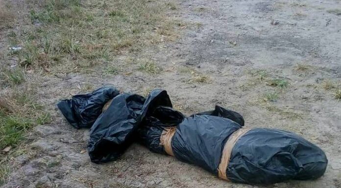 El hallazgo fue reportado por vecinos de la localidad a donde arribaron elementos de Fuerza Civil.