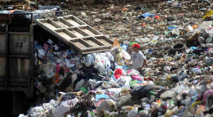 Presidente de la organización México, Comunicación y Ambiente y experto en gestión de residuos, Carlos Álvarez