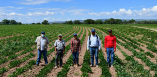 Agricultores en crisis por cierre de Financiera Rural