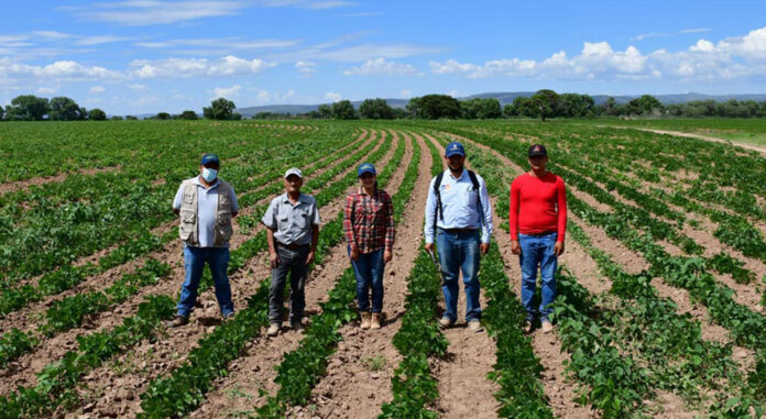 Agricultores en crisis por cierre de Financiera Rural