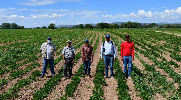 Agricultores en crisis por cierre de Financiera Rural