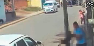 Hombre que mató a perro es detenido