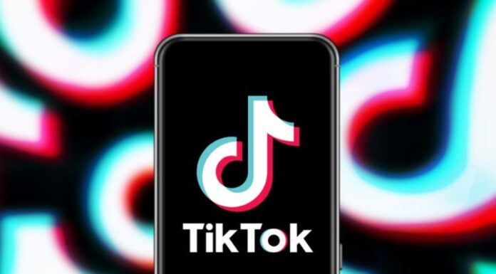 Tako, chatbot de TIkTiok