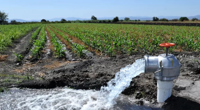 Riego agrícola en necesidad de renovación