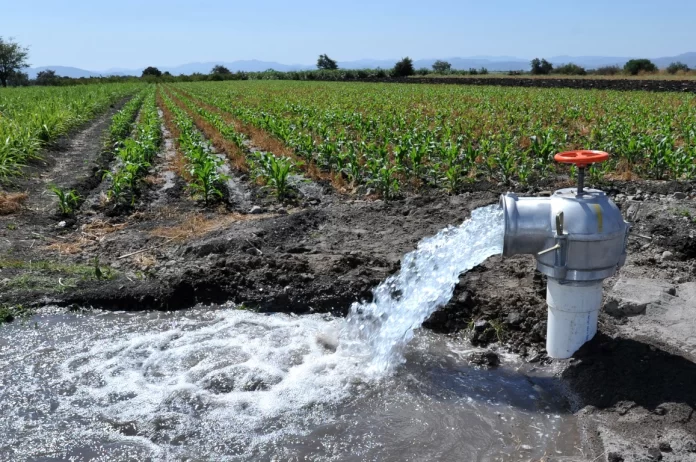 Riego agrícola en necesidad de renovación