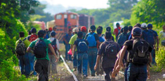 México establecerá campamentos para destinados para refugiados en situación vulnerable en el país