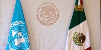 ONU recuerda a México la seguridad de sus periodistas