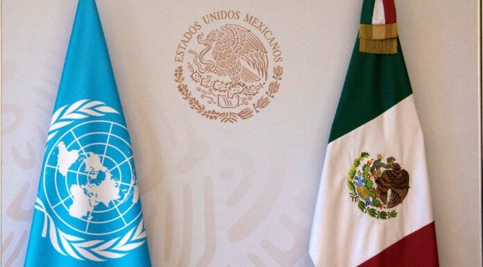 ONU recuerda a México la seguridad de sus periodistas