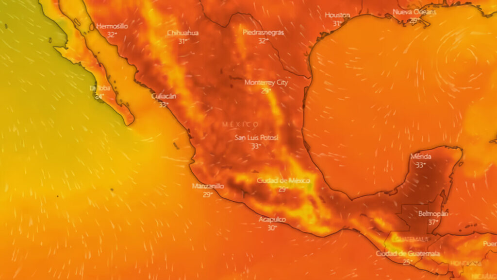 Ola de calor en México suma un total de 249 muertes este año