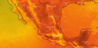 Ola de calor en México suma un total de 249 muertes este año