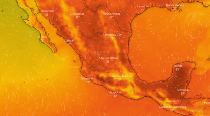Ola de calor en México suma un total de 249 muertes este año