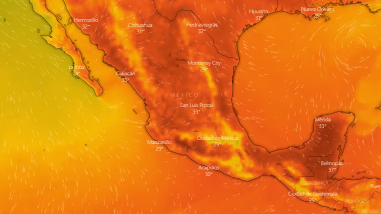 Ola de calor en México suma un total de 249 muertes este año