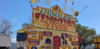 Circo de animales deformes es clausurado en Sabinas, Hidalgo, N.L.