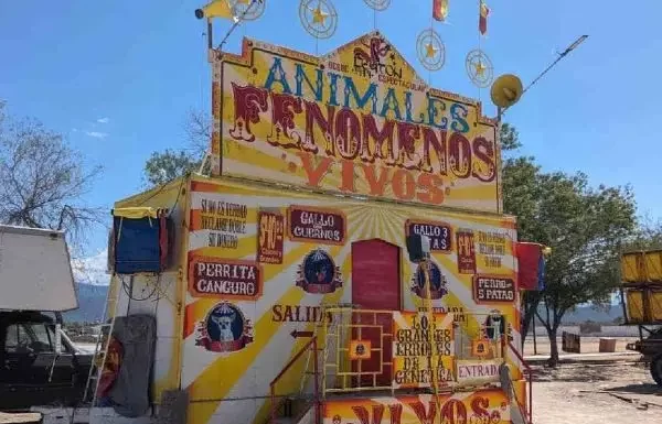 Circo de animales deformes es clausurado en Sabinas, Hidalgo, N.L.