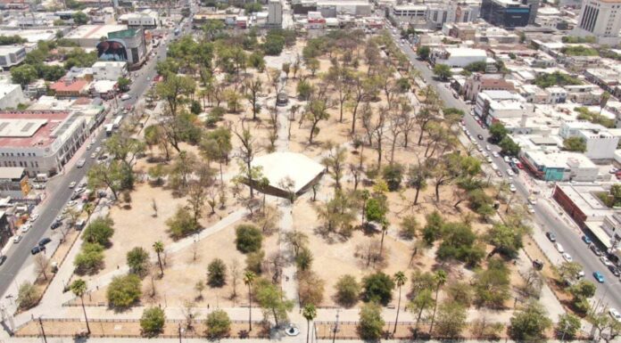 El gobierno de Monterrey liderado por Luis Donaldo Colosio se prepara para embellecer y reforestar la Alameda Mariano Escobedo