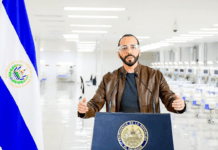 El Salvador usará IA de Google para gestionar hospitales y diagnósticos