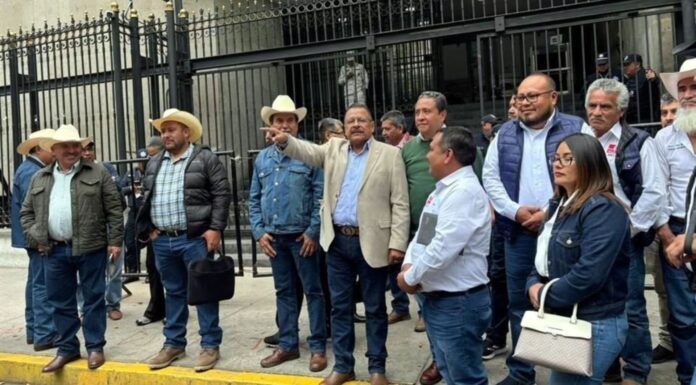 Campesinos