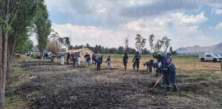 Hallan más de 500 restos óseos en zona del Lago de Chalco durante búsquedas de colectivos