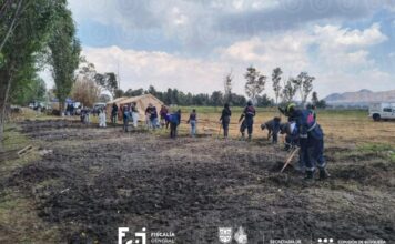Hallan más de 500 restos óseos en zona del Lago de Chalco durante búsquedas de colectivos