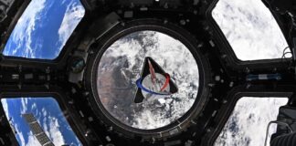 Artemis II despega y entra en órbita terrestre