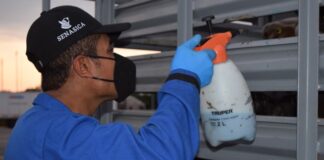 Reportan 7 casos gusano barrenador en NL