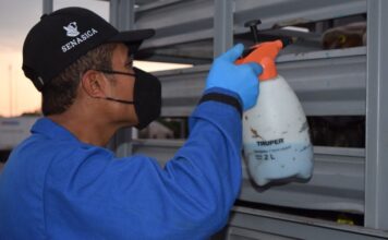 Reportan 7 casos gusano barrenador en NL