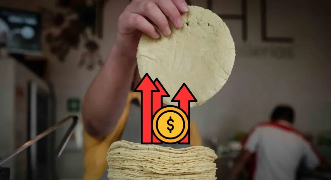 Anuncian ajuste de precio en la tortilla en Nuevo León