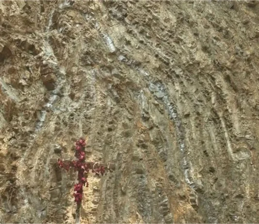 Hallan figura similar a la Virgen de Guadalupe en obra de SLP