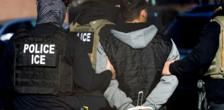 ICE pone bajo la lupa a abogados que tramiten asilos falsos