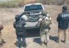 Aseguran más de 46 mil litros de combustible en Guanajuato durante operativo