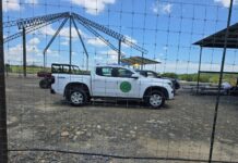 Refuerzan vigilancia contra el gusano barrenador en fauna silvestre de Nuevo León