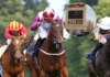 Caballos de competencia son apuñalados durante evento ecuestre en Las Vegas