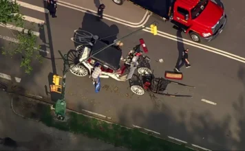 Carruaje de caballos en Nueva York vuelve al centro de la polémica