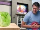 1,664 casos de diarrea: Taco Bell retira lechuga mexicana por brote impactante Taco Bell retira lechuga mexicana tras 1,664 casos de diarrea