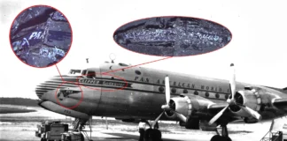 Hallan histórico avión de Pan Am estrellado en Puerto Rico tras 74 años Hallan restos del avión de Pan Am que cayó en Puerto Rico en 1952