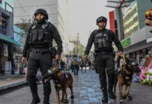 Operativos de seguridad logran 165 detenidos en una semana