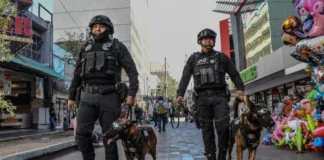 Operativos de seguridad logran 165 detenidos en una semana