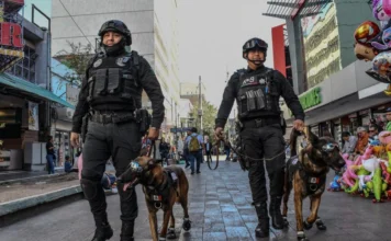 Operativos de seguridad logran 165 detenidos en una semana