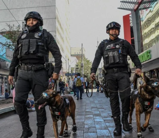 Operativos de seguridad logran 165 detenidos en una semana