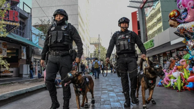 Operativos de seguridad logran 165 detenidos en una semana